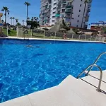 Sea & Palm *